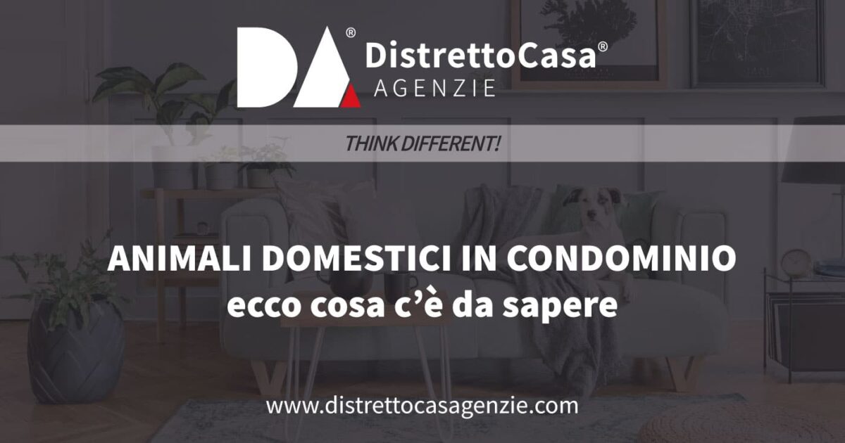 Animali domestici in condominio: ecco cosa c’è da sapere 19 Animali domestici in condominio: ecco cosa c’è da sapere 15