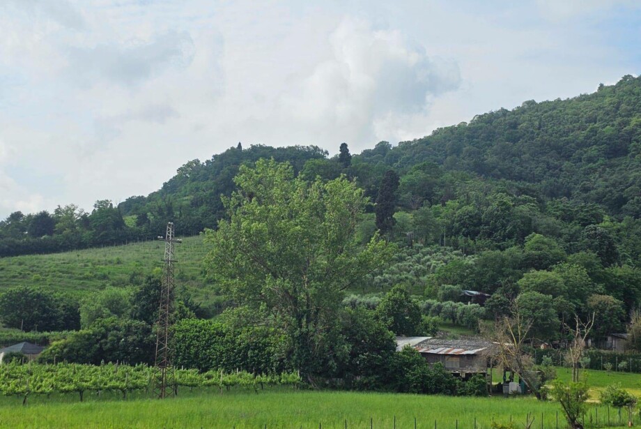 Vendita Villa a Schiera Longare