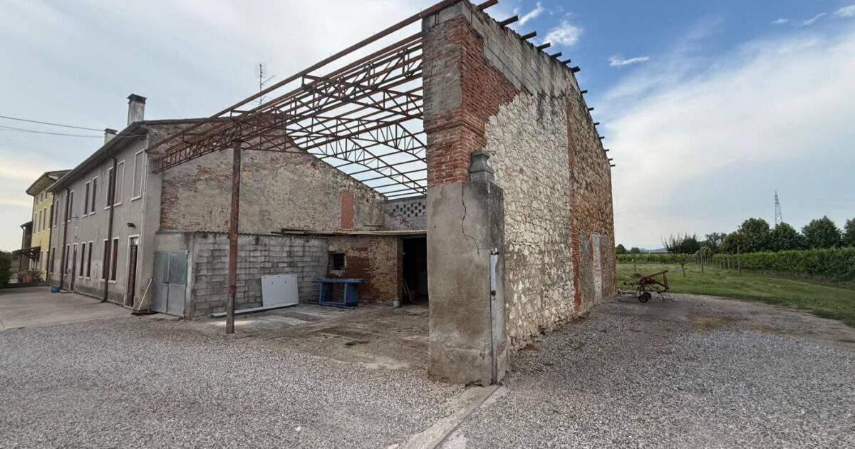 Vendita Magazzino Cologna Veneta